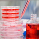 Image for article titled Meat Band-Aids and Mass Production of Living Tissue